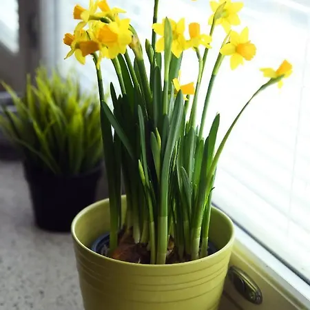 Scandinavian Sweet 1br In Kamppi Center 30 *